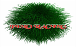 Pelo Racing MGP